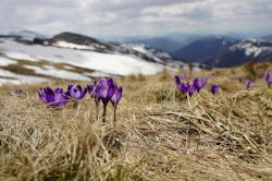 66fdc45d36c97e16a58b6b67 Biegunwschodni18125unsplash 66fdc45d36c97e16a58b6b67 Biegunwschodni18125unsplash