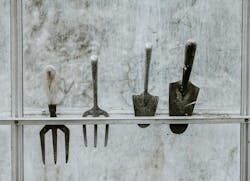 66fdc46436c97e6e3d8b6b6f Anniespratt667044unsplash 66fdc46436c97e6e3d8b6b6f Anniespratt667044unsplash