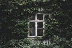 66fdc465d4ea381e77a5a406 Massimorinaldi1329357unsplash 66fdc465d4ea381e77a5a406 Massimorinaldi1329357unsplash