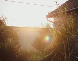 66fdc46fa5dba04b29462f78 Lenaremmert1398941unsplash 66fdc46fa5dba04b29462f78 Lenaremmert1398941unsplash