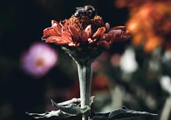 66fdc471a897b55bd6b20867 Oliverroos1412001unsplash 66fdc471a897b55bd6b20867 Oliverroos1412001unsplash