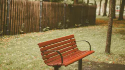 Photo: Unsplash/Elina Bernpaintner
