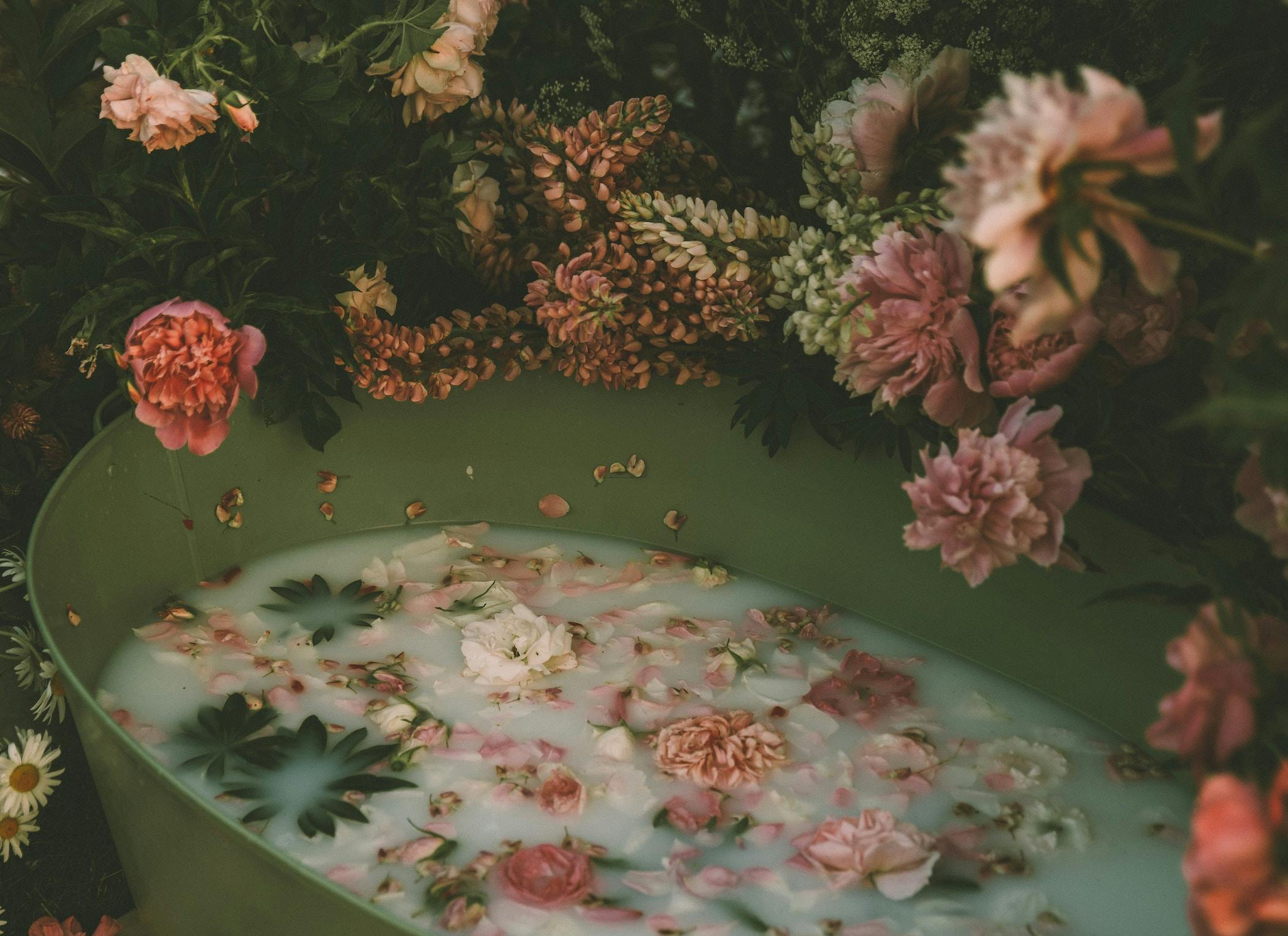 66fdc47edbd68e60a04ab26b Anitaaustvika775382unsplash