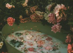 66fdc47edbd68e60a04ab26b Anitaaustvika775382unsplash 66fdc47edbd68e60a04ab26b Anitaaustvika775382unsplash