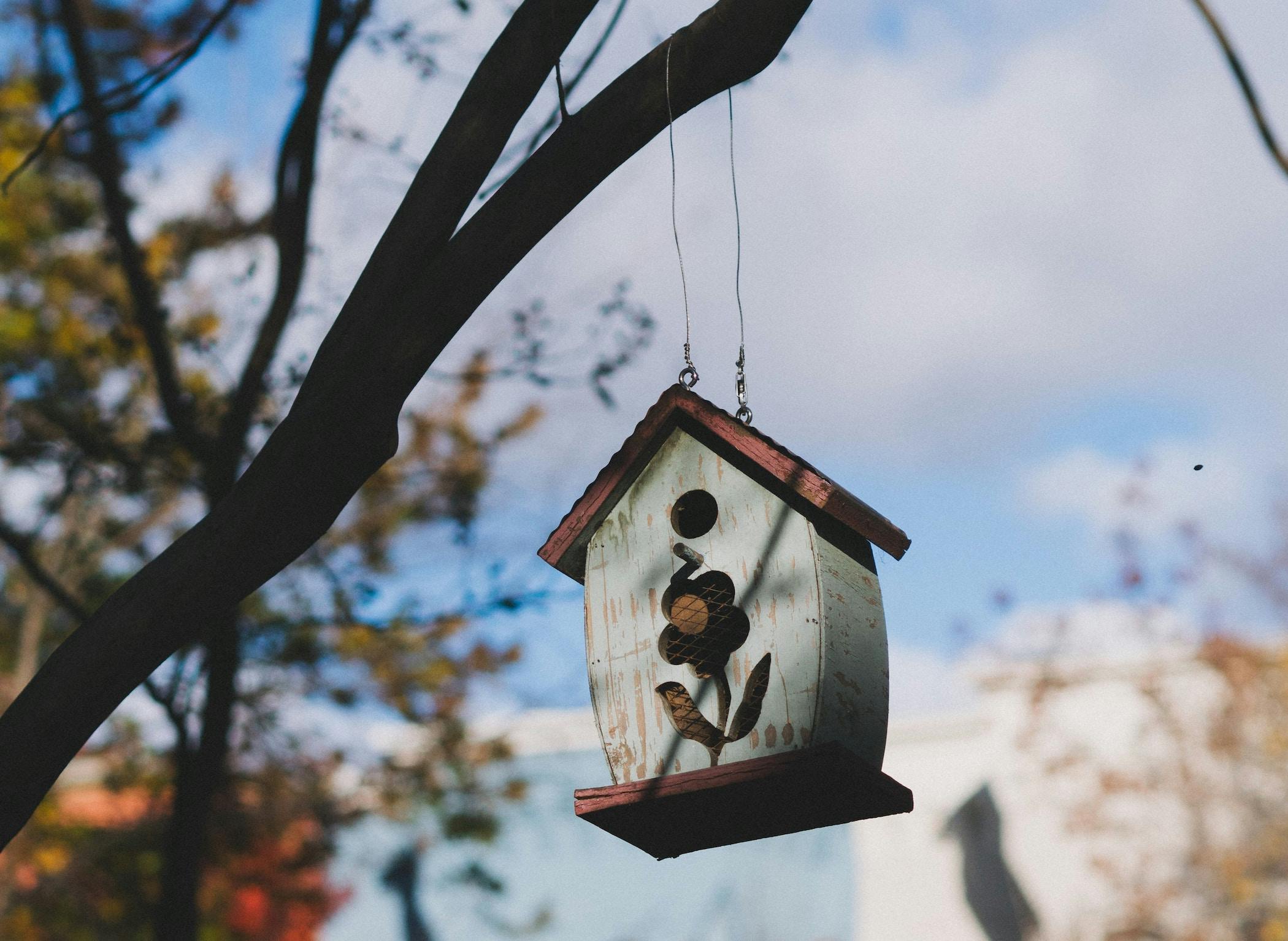 66fdc484e63fdc415d45919d Marktegethoff453195unsplash