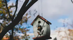 Photo: Unsplash/Mark Tegethoff