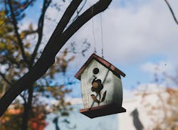 66fdc484e63fdc415d45919d Marktegethoff453195unsplash 66fdc484e63fdc415d45919d Marktegethoff453195unsplash