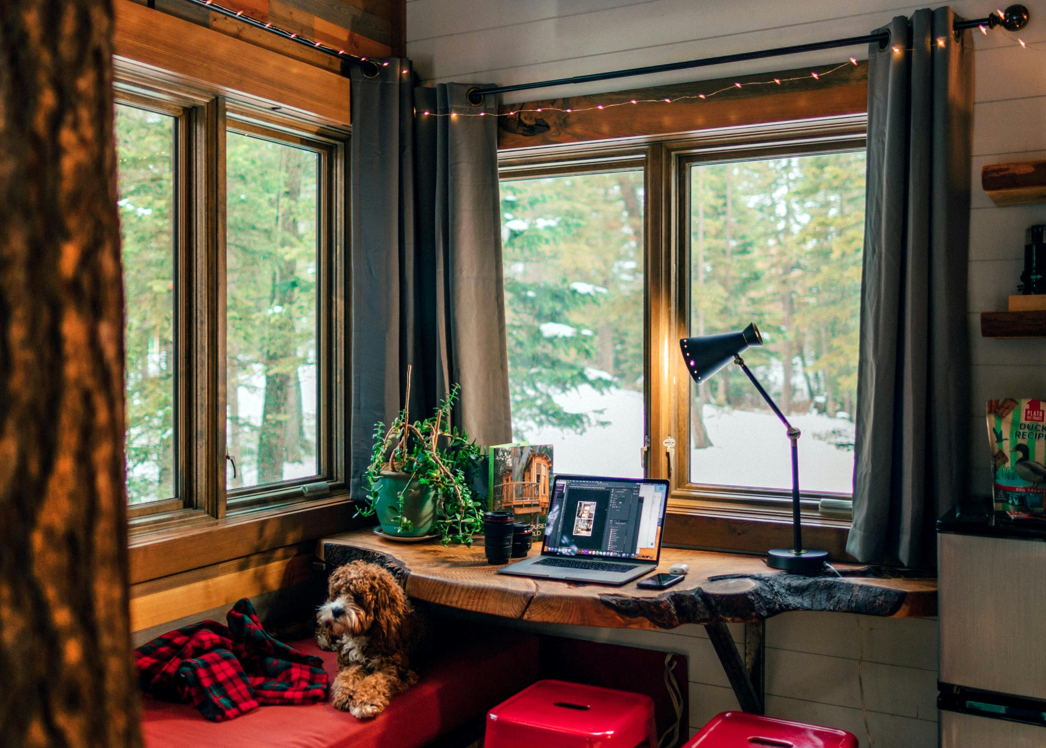 66fdc489de5fd14200549650 Robertonickson1299737unsplash