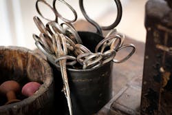 66fdc494e1fd4a7239e1fad7 Alexandregodreau510214unsplash 66fdc494e1fd4a7239e1fad7 Alexandregodreau510214unsplash