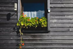 66fdc49c3cabd925a1a6a5ed Benceboros345530unsplash 66fdc49c3cabd925a1a6a5ed Benceboros345530unsplash