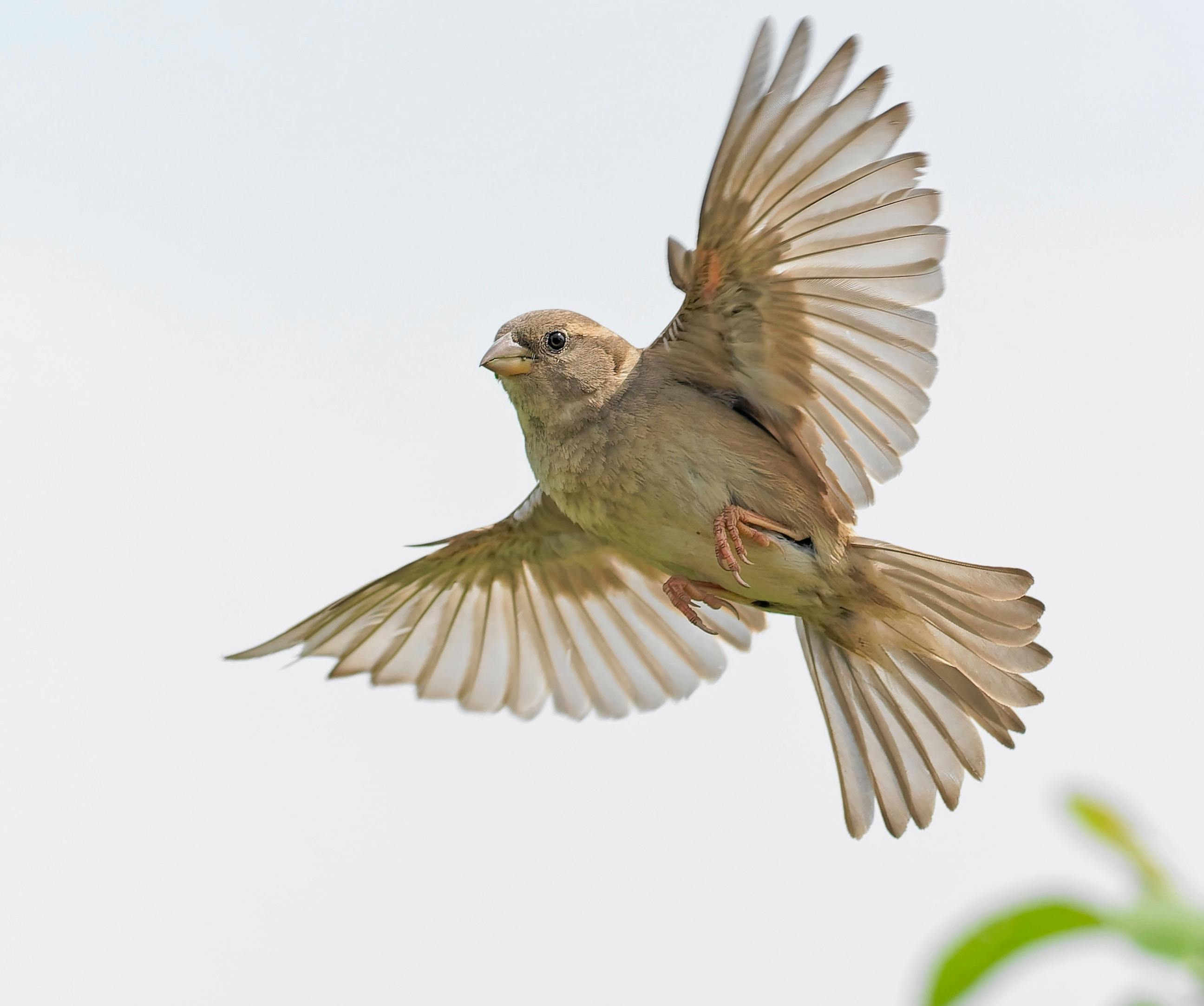 66fdc49edbd68eb19a4ab290 Jacqueslehenaff1103331unsplash