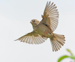 66fdc49edbd68eb19a4ab290 Jacqueslehenaff1103331unsplash 66fdc49edbd68eb19a4ab290 Jacqueslehenaff1103331unsplash