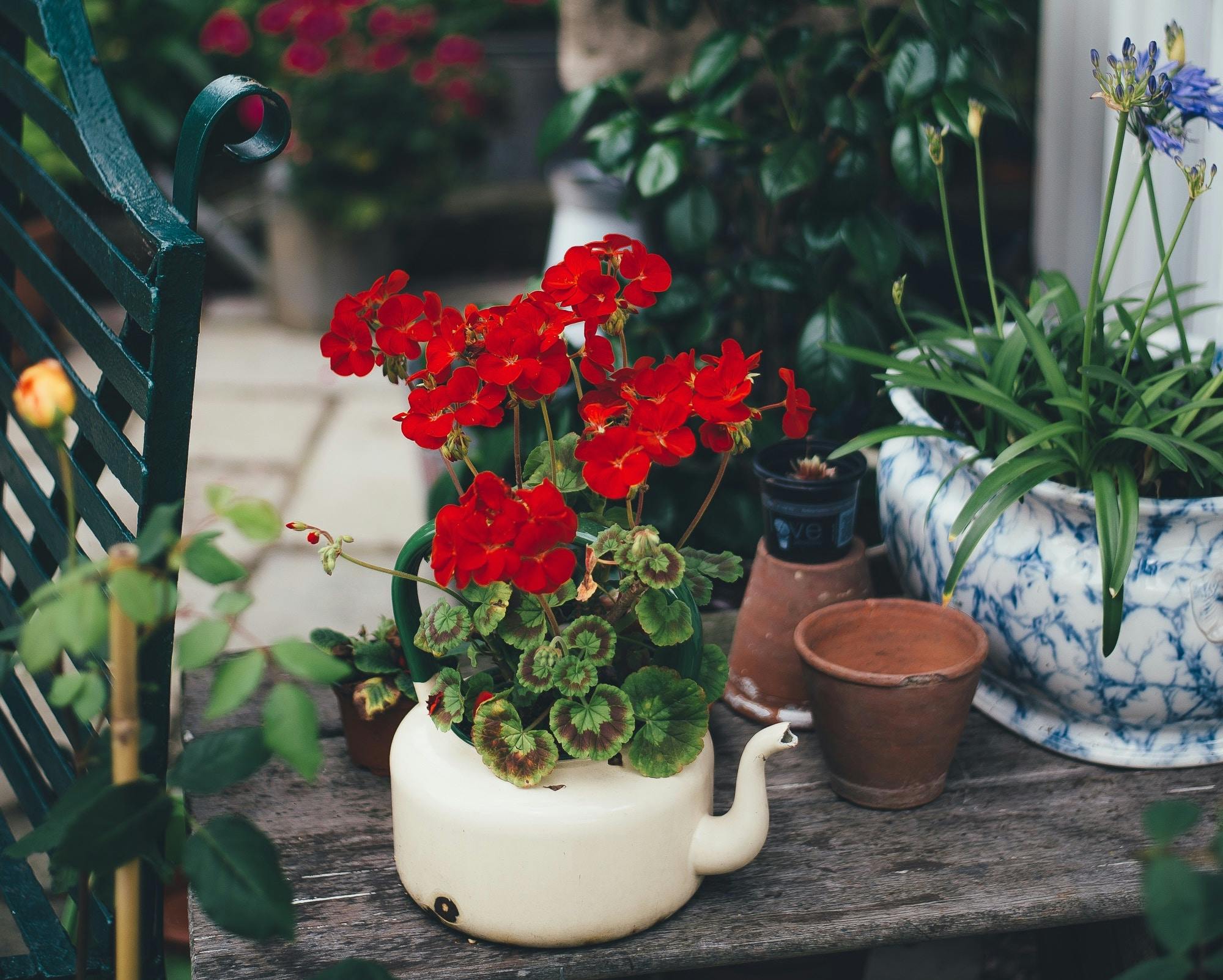 66fdc4a23cabd9b980a6a5f2 Anniespratt109237unsplash