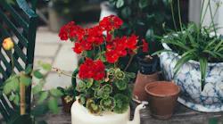 Photo: Unsplash/Annie Spratt