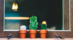 Photo: Bundo Kim/Unsplash
