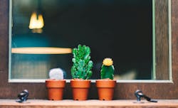 66fdc4b4e63fdce2384591df Bundokim671196unsplash 66fdc4b4e63fdce2384591df Bundokim671196unsplash