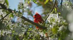 Photo: Unsplash/Kyle Johnston