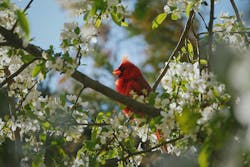 66fdc4b5a5dba0d94e462fba Kylejohnston688735unsplash 66fdc4b5a5dba0d94e462fba Kylejohnston688735unsplash