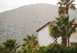 66fdc4c936c97e69b38b6bfd Yuliyakosolapova1527711unsplash 66fdc4c936c97e69b38b6bfd Yuliyakosolapova1527711unsplash