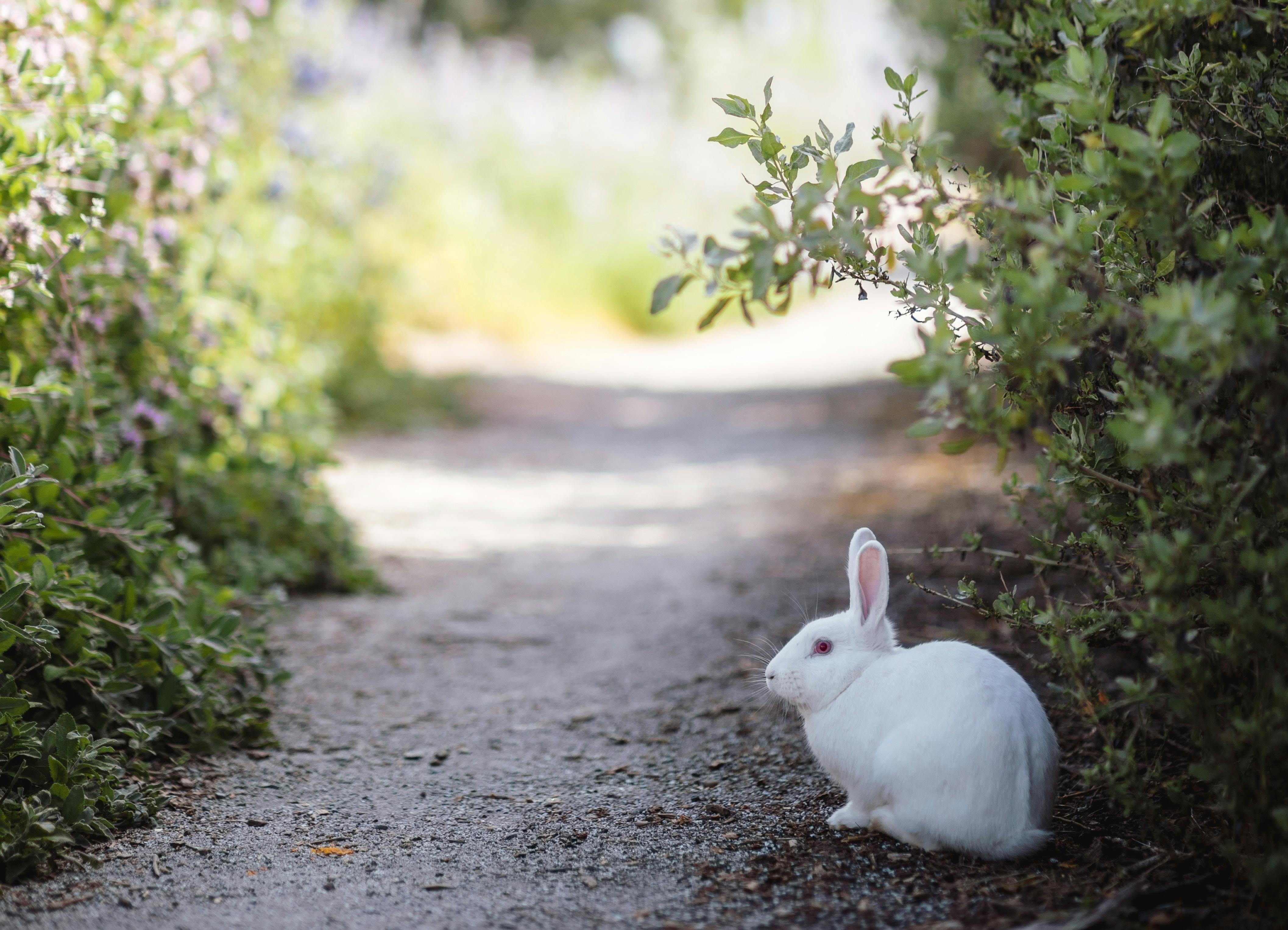 66fdc4cde1fd4aa0b9e1fb21 Jasonleung1530201unsplash