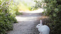 Photo: Jason Leung/Unsplash
