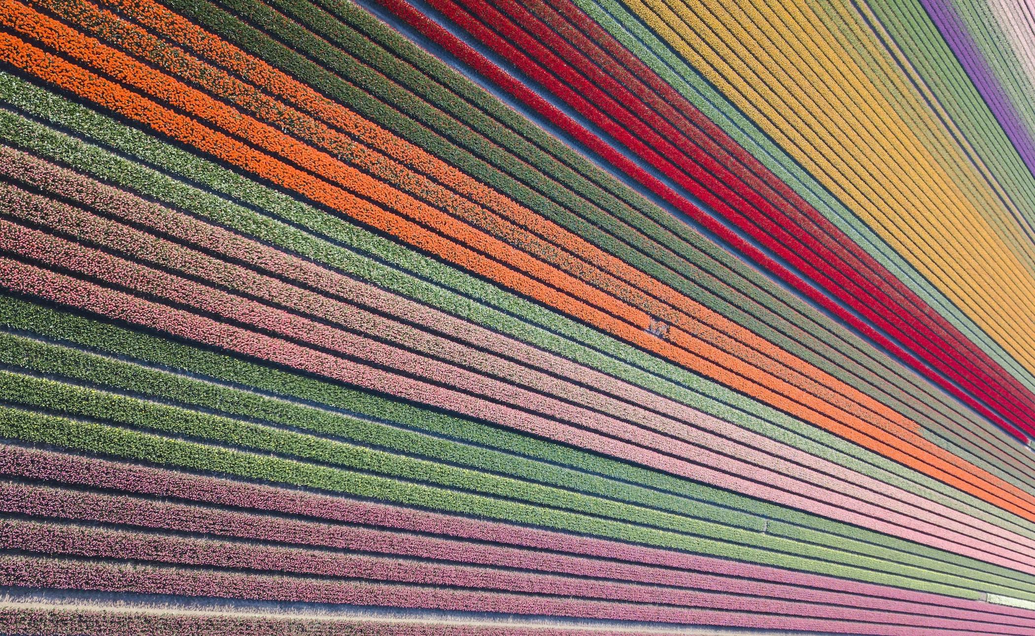 66fdc4cfdbd68e12f64ab2c3 Erwindoorn1525074unsplash