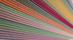 Photo: Erwin Doorn/Unsplash