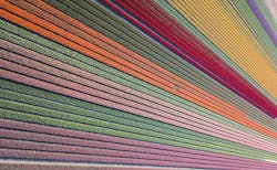 66fdc4cfdbd68e12f64ab2c3 Erwindoorn1525074unsplash 66fdc4cfdbd68e12f64ab2c3 Erwindoorn1525074unsplash