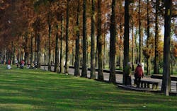 66fdc4d1dbd68e66fa4ab2c4 Joycezhang1355944unsplash 66fdc4d1dbd68e66fa4ab2c4 Joycezhang1355944unsplash