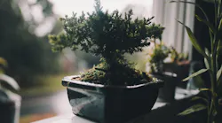 Photo: Blake Cheek/Unsplash