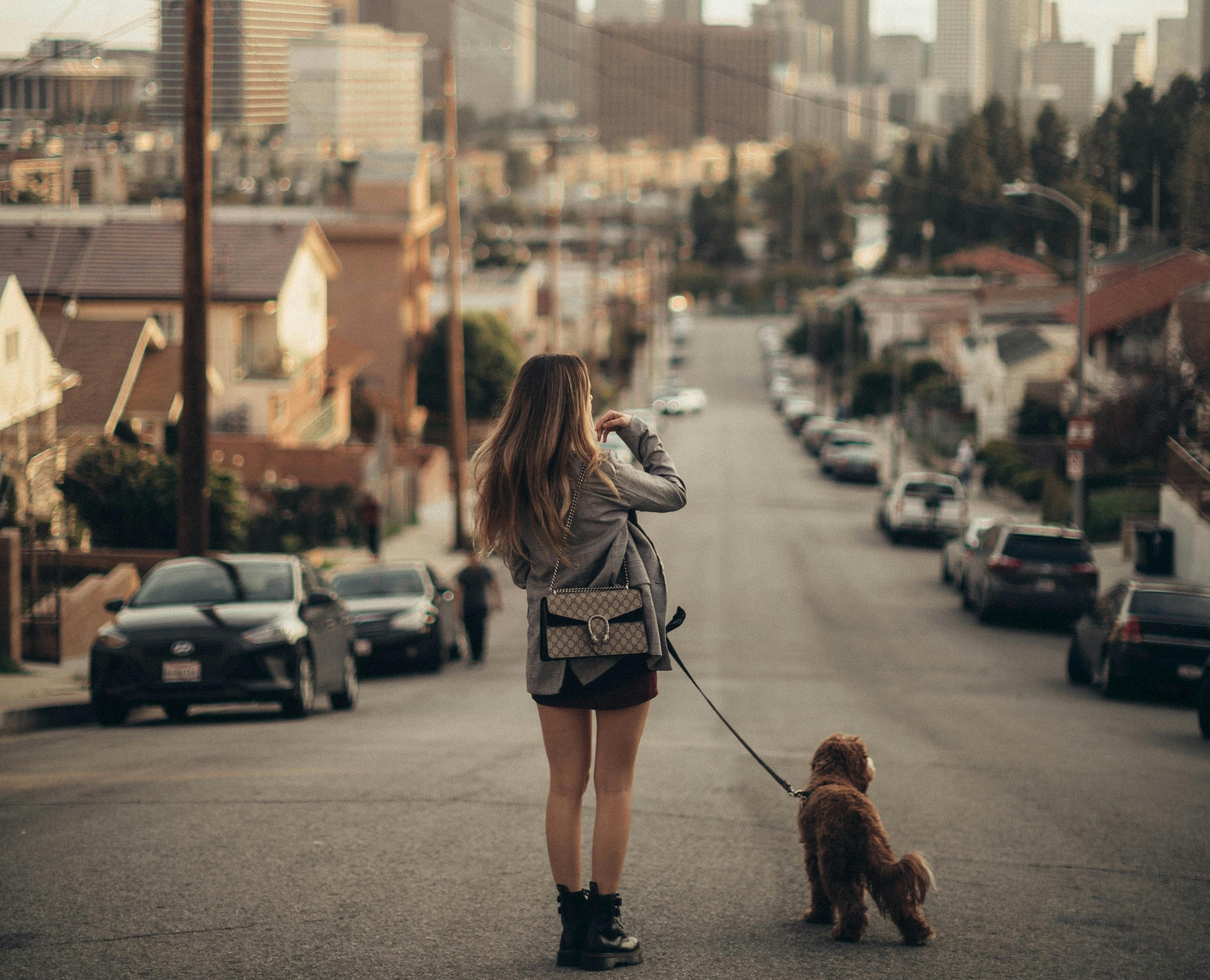 66fdc4f63cabd95af3a6a63e Robertonickson1409823unsplash