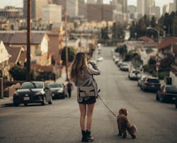 66fdc4f63cabd95af3a6a63e Robertonickson1409823unsplash 66fdc4f63cabd95af3a6a63e Robertonickson1409823unsplash