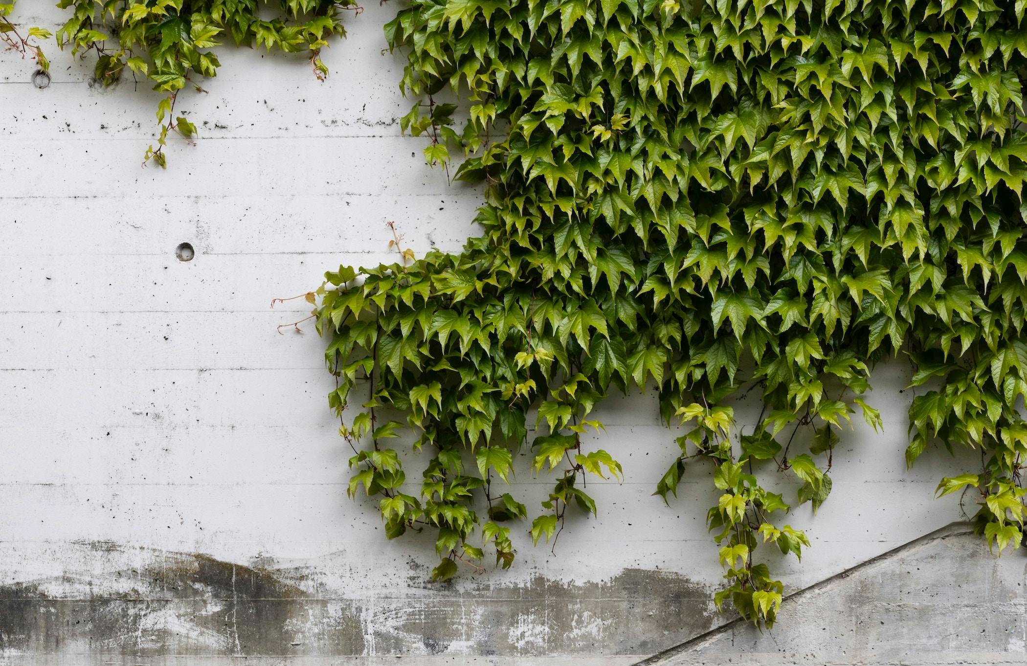 66fdc4f6a5dba084b0462ff5 Pascalmeier1586228unsplash