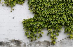 66fdc4f6a5dba084b0462ff5 Pascalmeier1586228unsplash 66fdc4f6a5dba084b0462ff5 Pascalmeier1586228unsplash