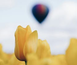 66fdc4f9a5dba008ee462ff6 Ivanbogdanov1531091unsplash201 66fdc4f9a5dba008ee462ff6 Ivanbogdanov1531091unsplash201