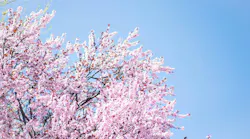 Photo: Unsplash/Jake Weirick