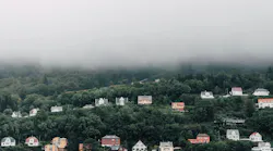 Photo: Unsplash: Tom Skarbek-Wazynski
