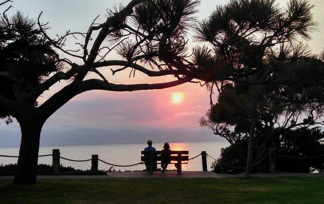 66fdc5113cabd982f1a6a650 Retired20couplesunsetpixabaynetpotent