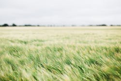 66fdc513dbd68e0da64ab322 Brunomartinsfarmfield 66fdc513dbd68e0da64ab322 Brunomartinsfarmfield
