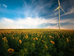 66fdc529a897b5309eb2095d Gustavoqueponwindturbinesunflowers 66fdc529a897b5309eb2095d Gustavoqueponwindturbinesunflowers