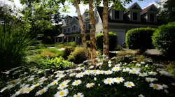 Photo: Unsplash/Thirsty Turf Irrigation