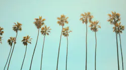 Photo: Unsplash/ Julian Howard