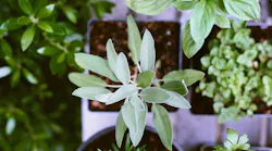 Photo: Unsplash/ Matt Montgomery