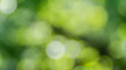 Photo: Unsplash/ Artur Luczka