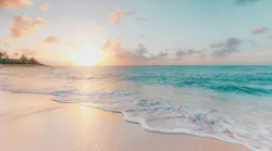 Photo: Unsplash/ Sean O