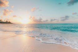 66fdc550dbd68eec204ab35a Seanohawaiibeach 66fdc550dbd68eec204ab35a Seanohawaiibeach