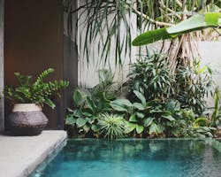 66fdc55701d3bf7172af848c Taylorsimpsonbackyardpool 66fdc55701d3bf7172af848c Taylorsimpsonbackyardpool