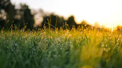 Photo: Unsplash/ Jonas Weckschmied