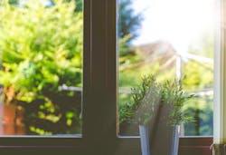 66fdc563d4ea3894bea5a540 Adeolueletuplantonwindowsill 66fdc563d4ea3894bea5a540 Adeolueletuplantonwindowsill