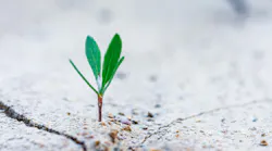 Photo: Unsplash/Stanislav Kondratiev